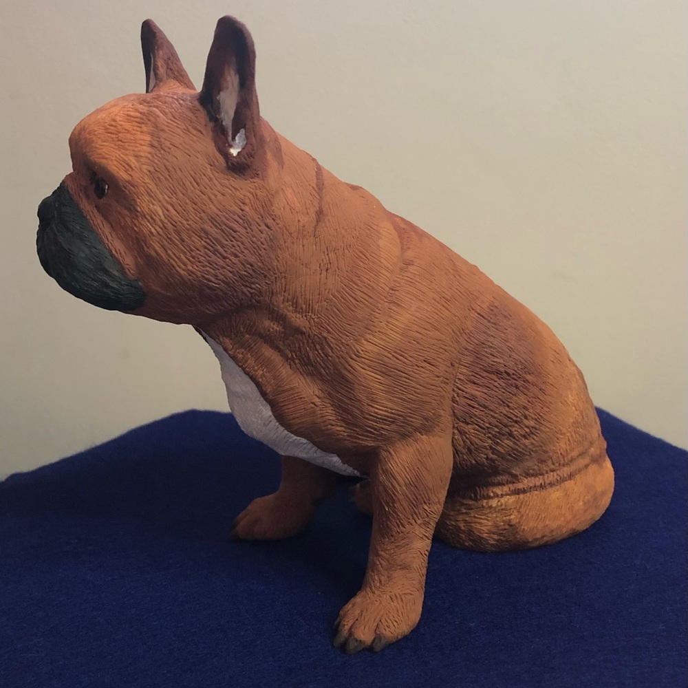 Here’s a cute little Frenchie pup.